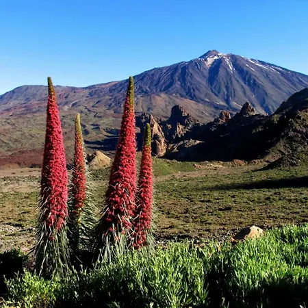 Apartman Maravilloso Duplex Frente Al Mar Con Parking Propio A Pie De Playa *