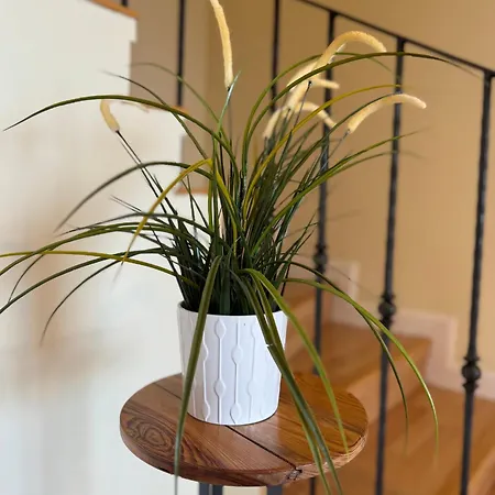 Maravilloso Duplex Frente Al Mar Con Parking Propio A Pie De Playa Apartman *