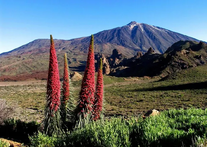 Apartment Maravilloso Duplex Frente Al Mar Con Parking Propio A Pie De Playa *
