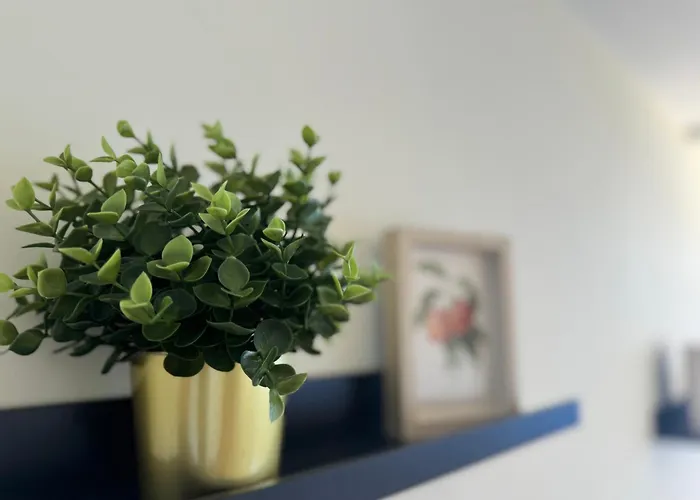 Apartamento Maravilloso Duplex Frente Al Mar Con Parking Propio A Pie De Playa Radazul