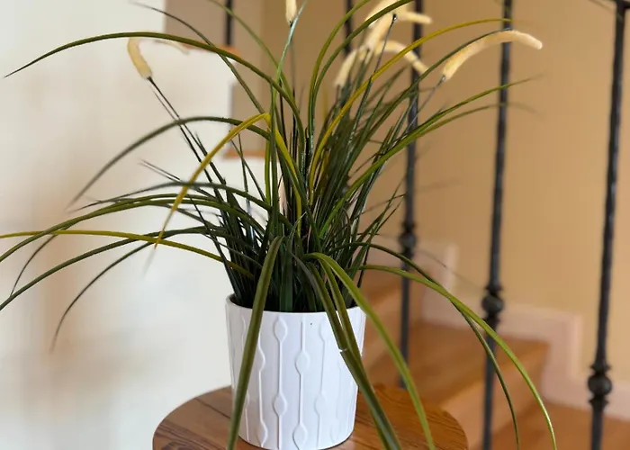 Maravilloso Duplex Frente Al Mar Con Parking Propio A Pie De Playa Apartment *